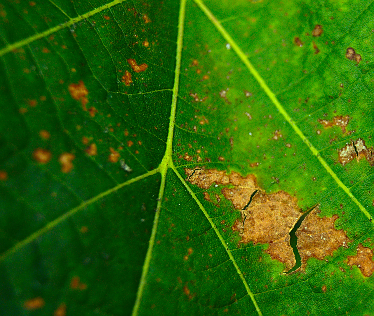 Der Herbst beginnt!