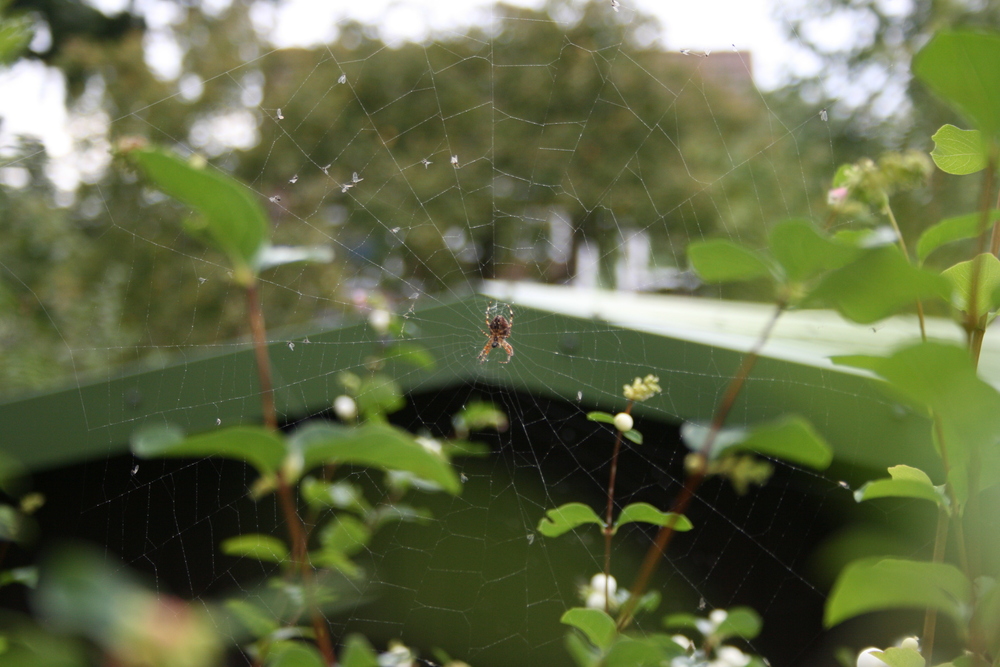 Der Herbst beginnt