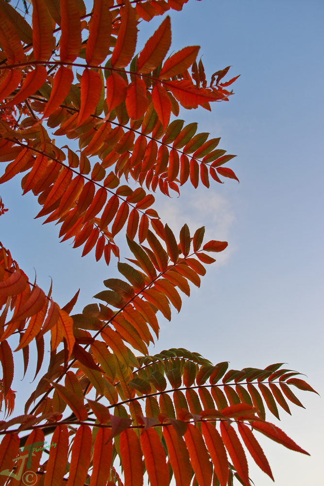 Der Herbst beginnt