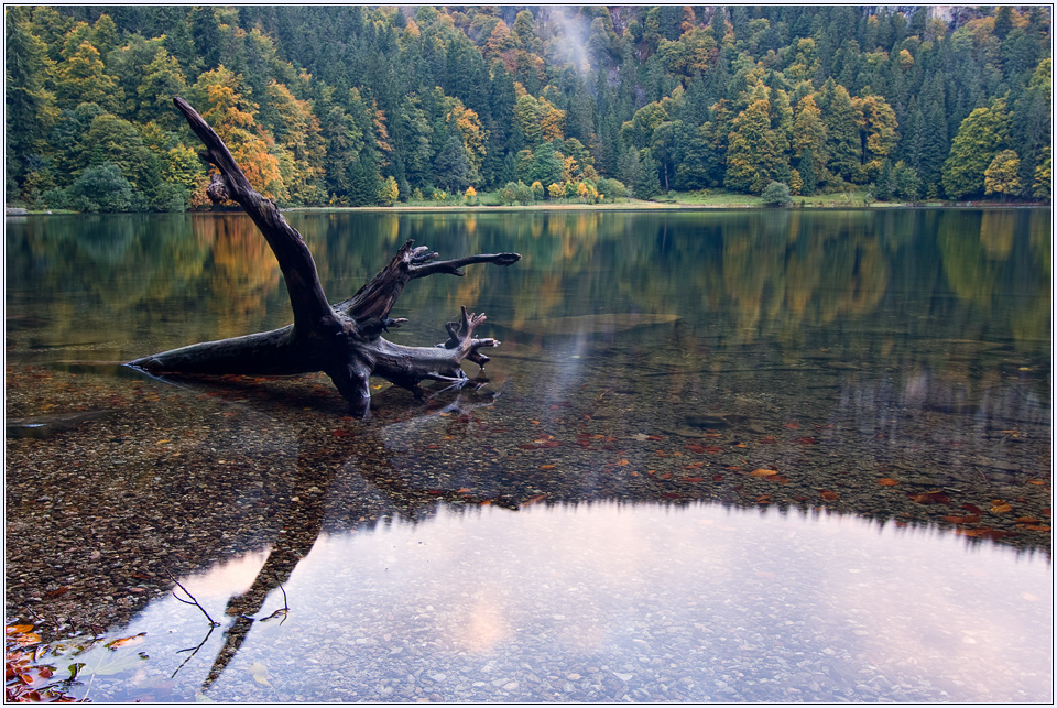 Der Herbst beginnt am Feldsee