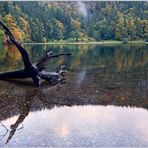 Der Herbst beginnt am Feldsee