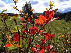 der Herbst beginnt auf der Alb