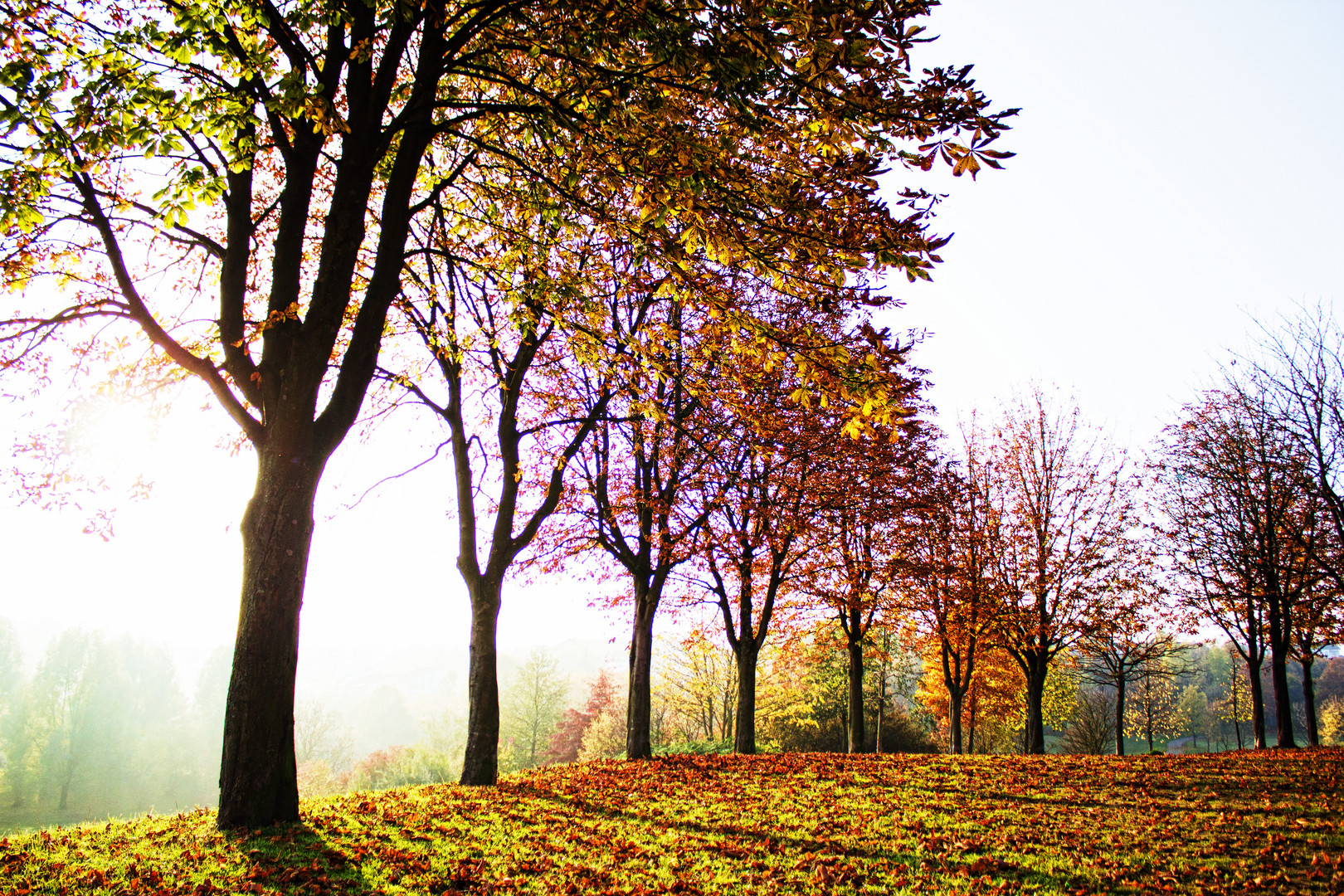 Der Herbst beginnt bei 22°c