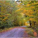 Der Herbst beginnt (el otoño empieza)