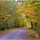 Der Herbst beginnt (el otoño empieza)