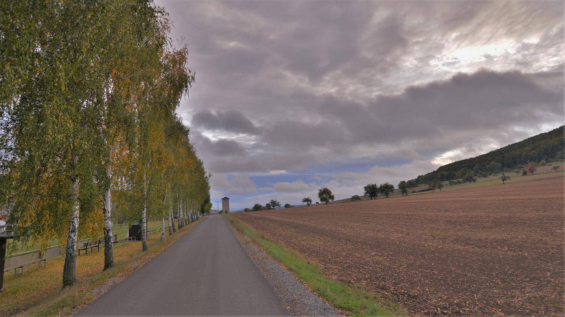 der Herbst beginnt (el otoño empieza)