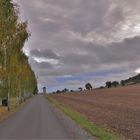 der Herbst beginnt (el otoño empieza)