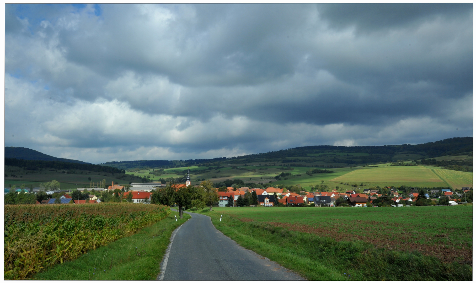 Der Herbst beginnt (el otoño empieza)