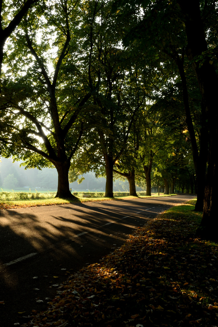 Der Herbst beginnt in Baden-Baden