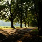 Der Herbst beginnt in Baden-Baden