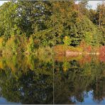 der Herbst beginnt vor meiner Haustüre