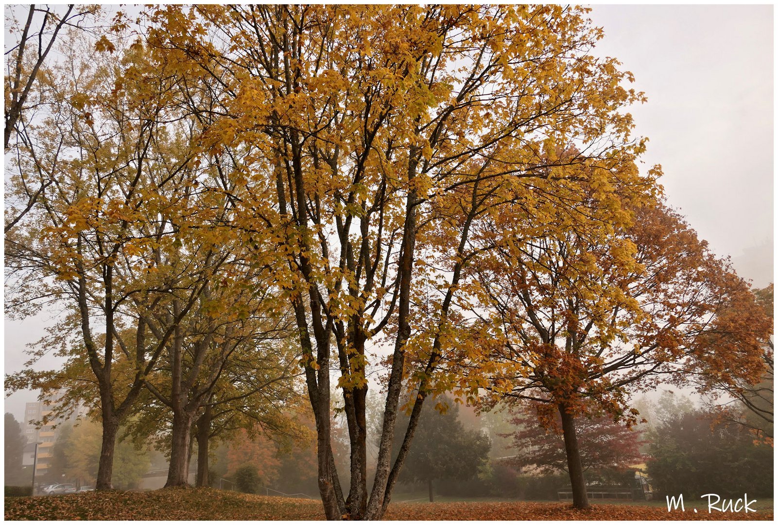 Der Herbst bei uns daheim !