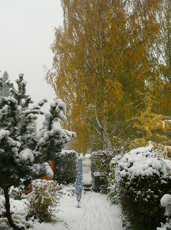 Der Herbst bekommt Besuch vom Winter II