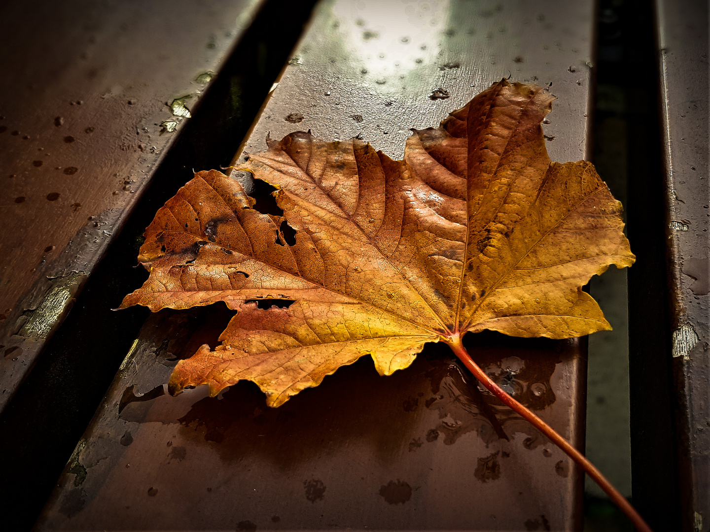 Der Herbst bestimmt das Geschehen