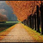 Der Herbst bleibt im Rahmen