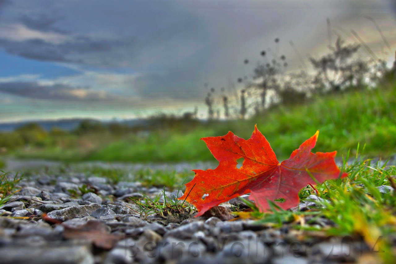 Der Herbst bleibt noch ein paar Tage!