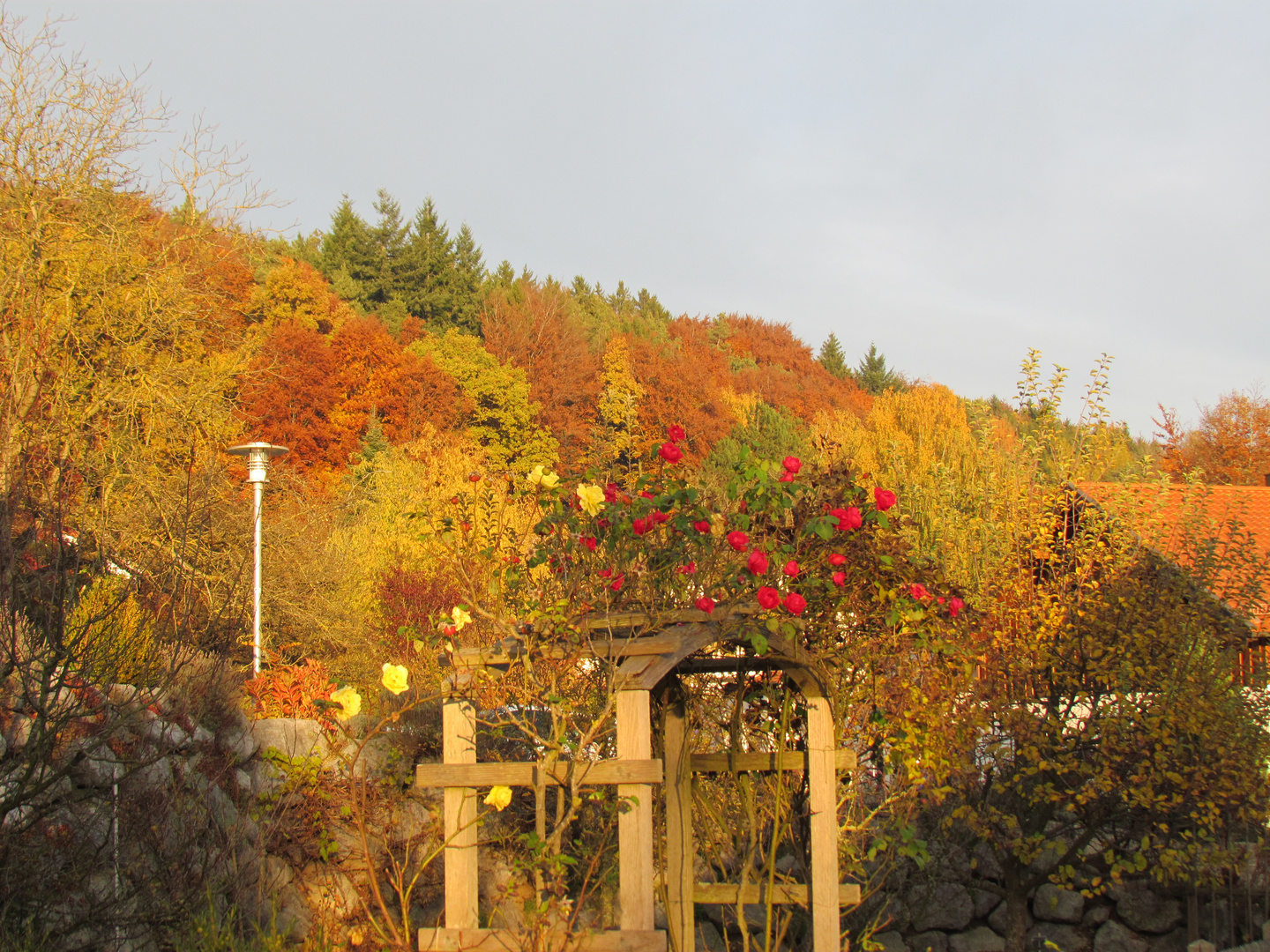 Der Herbst brandet über den Hechenberg