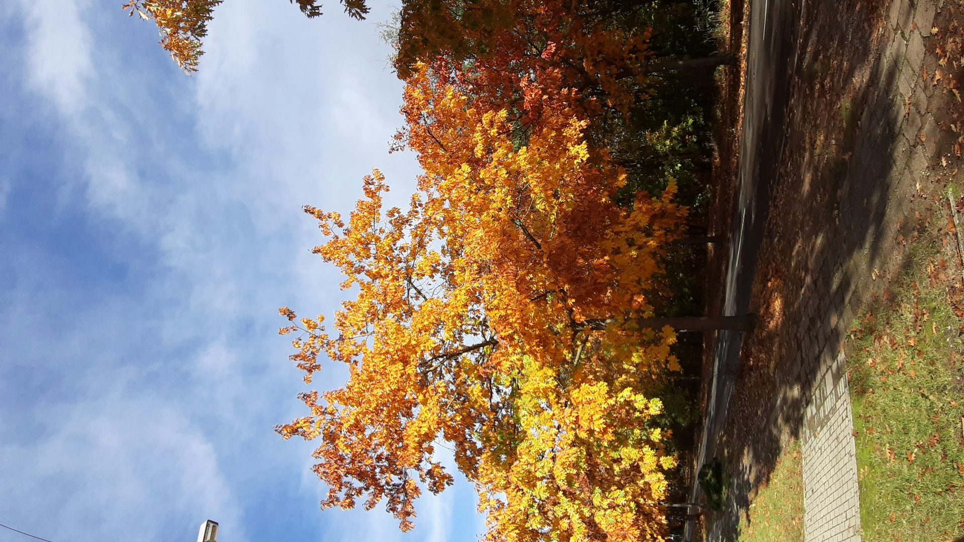 Der Herbst, bunt und schön