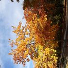 Der Herbst, bunt und schön