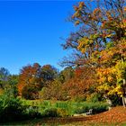 Der Herbst - bunte und schillernde Jahreszeit - ein Basar der Inspiration und Magie der Farben...
