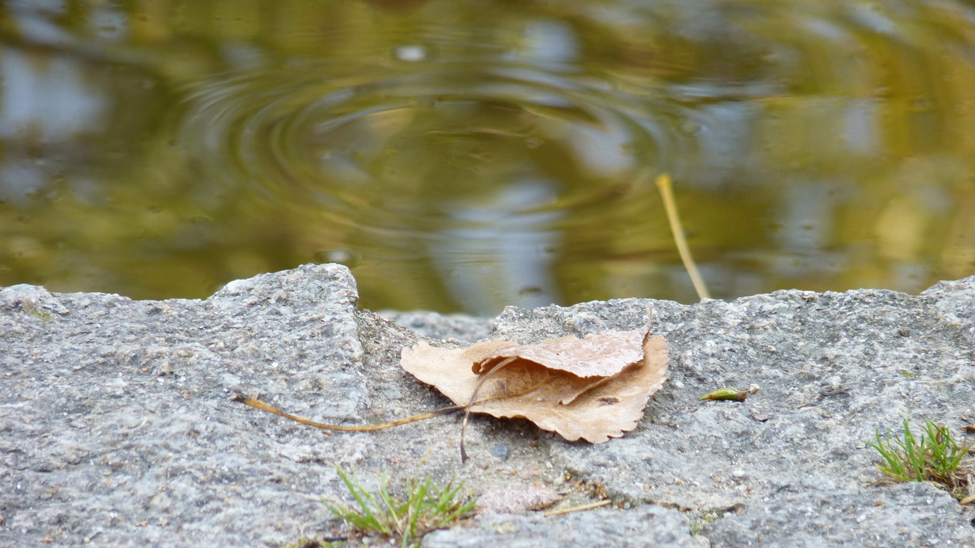 Der Herbst