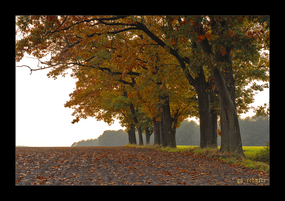 Der Herbst