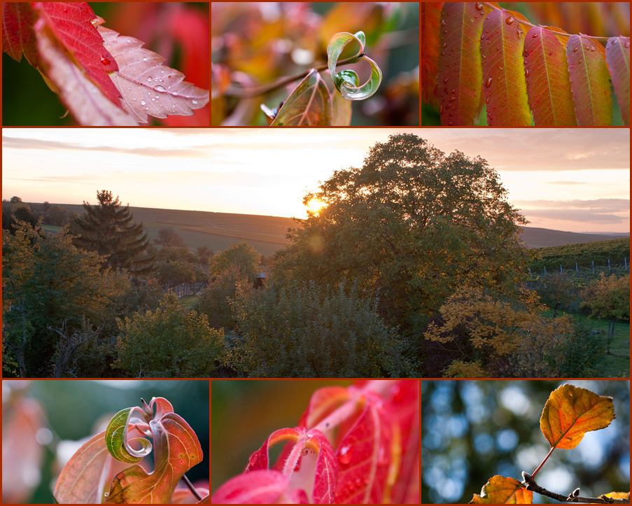 Der Herbst