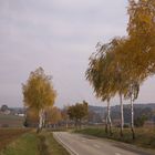 der Herbst