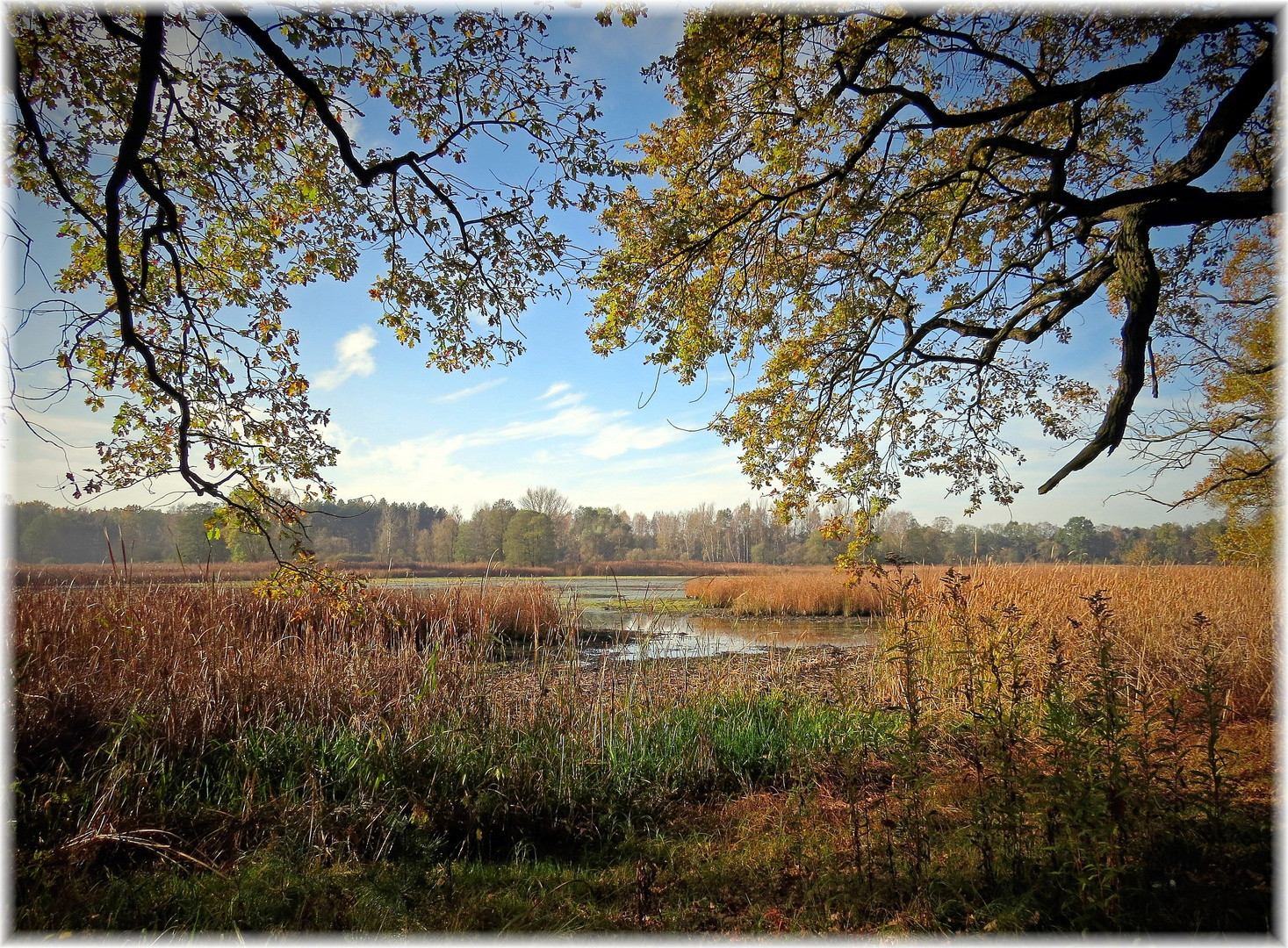 Der Herbst !