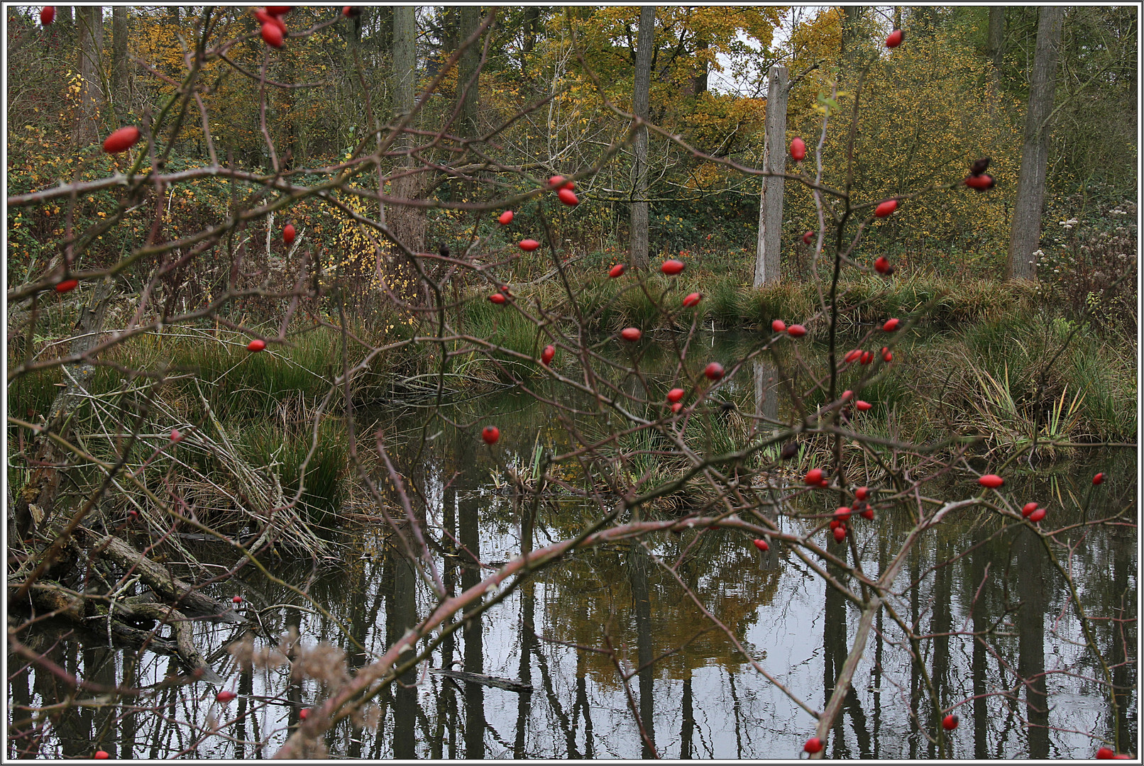 Der Herbst