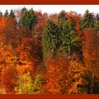 Der Herbst der herbst der herbst ist da!