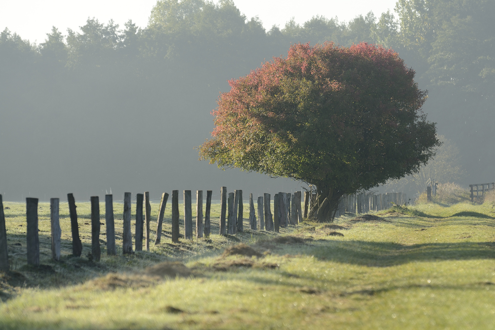 Der Herbst, der Herbst, der Herbst ist da...