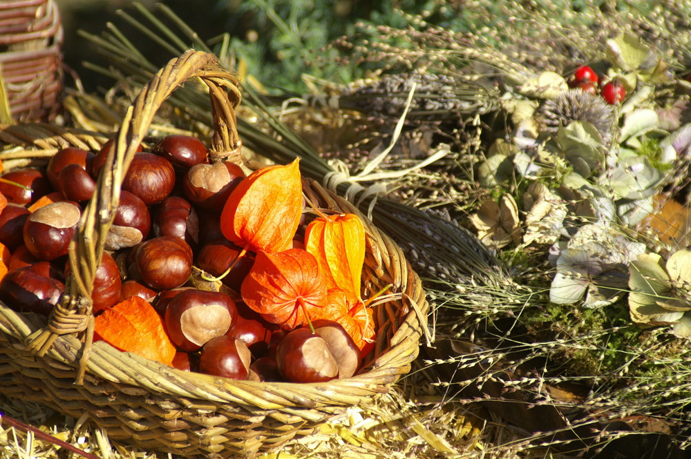 Der Herbst, der Herbst, der Herbst ist da...