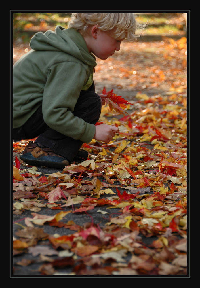 Der Herbst, der Herbst, der Herbst ist da !