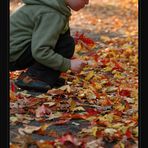 Der Herbst, der Herbst, der Herbst ist da !