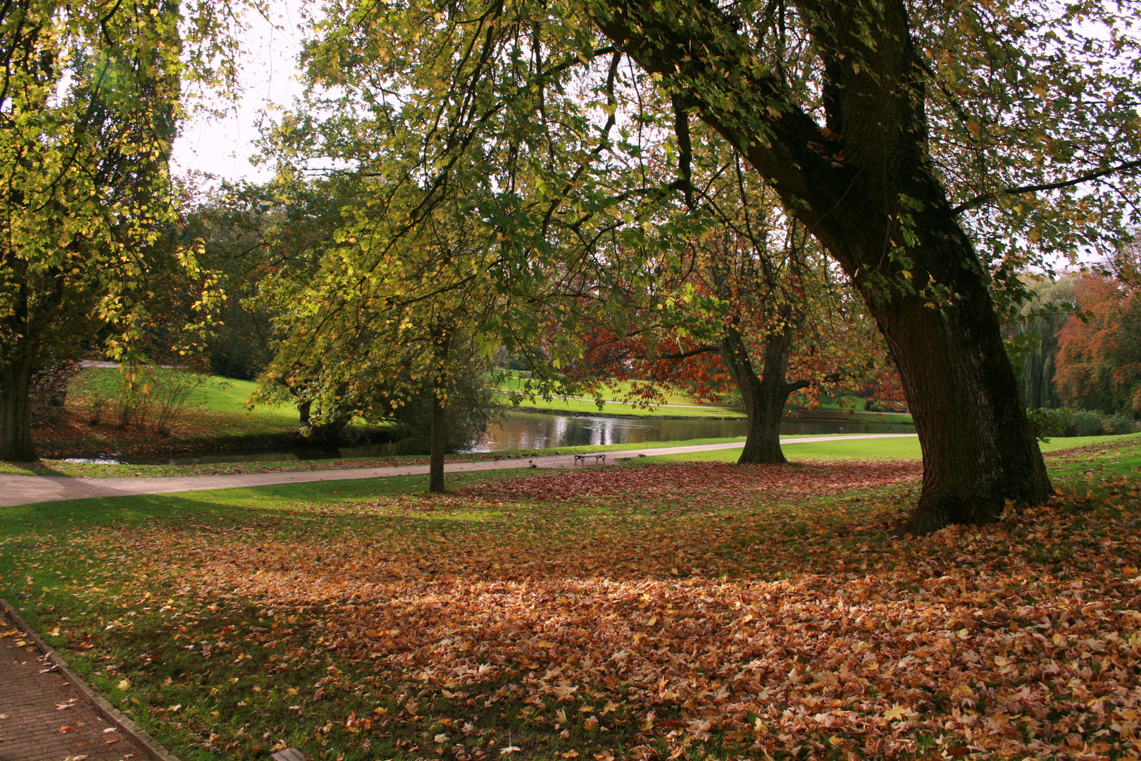 Der Herbst , der Herbst ist da