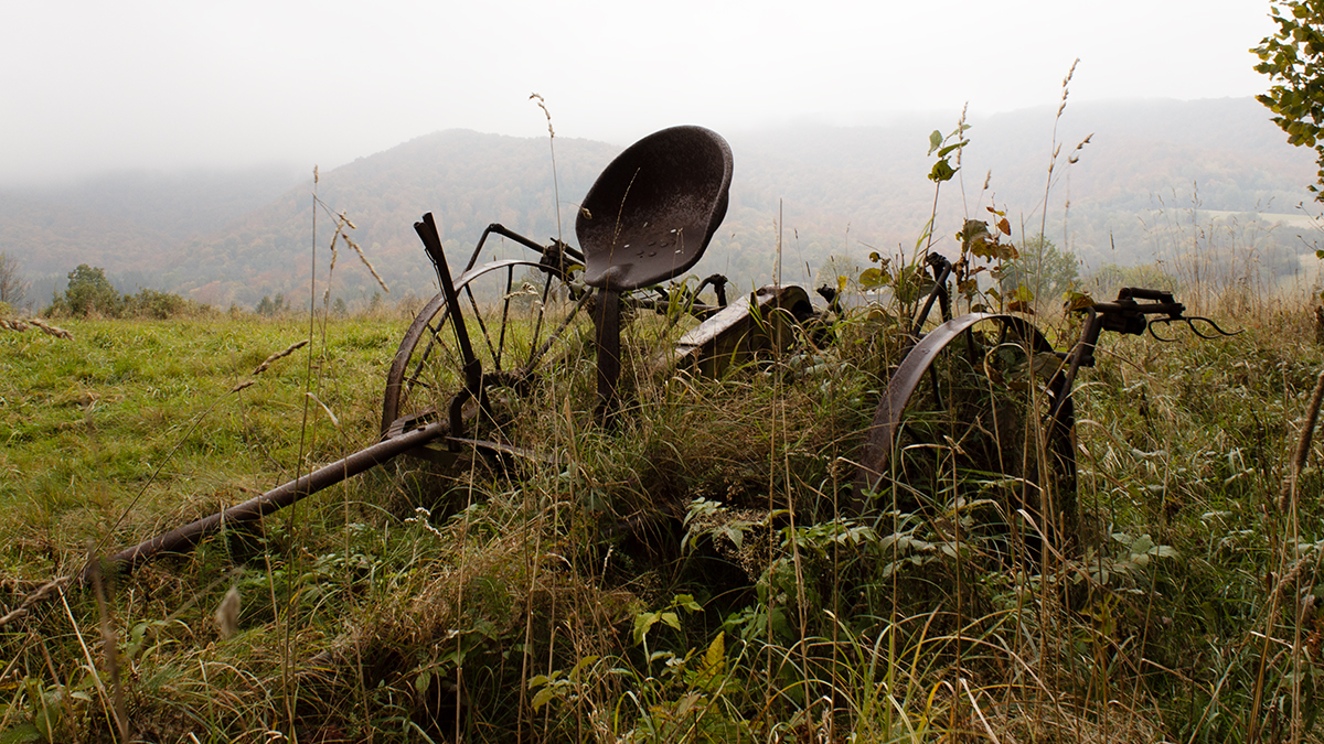 Der Herbst der Maschine