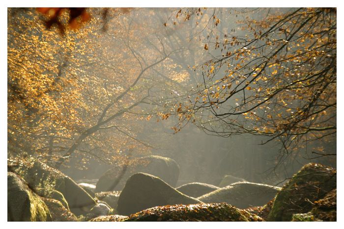 der herbst - die mystik