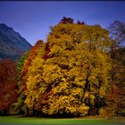 Der Herbst dreht auf !