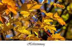 Der Herbst