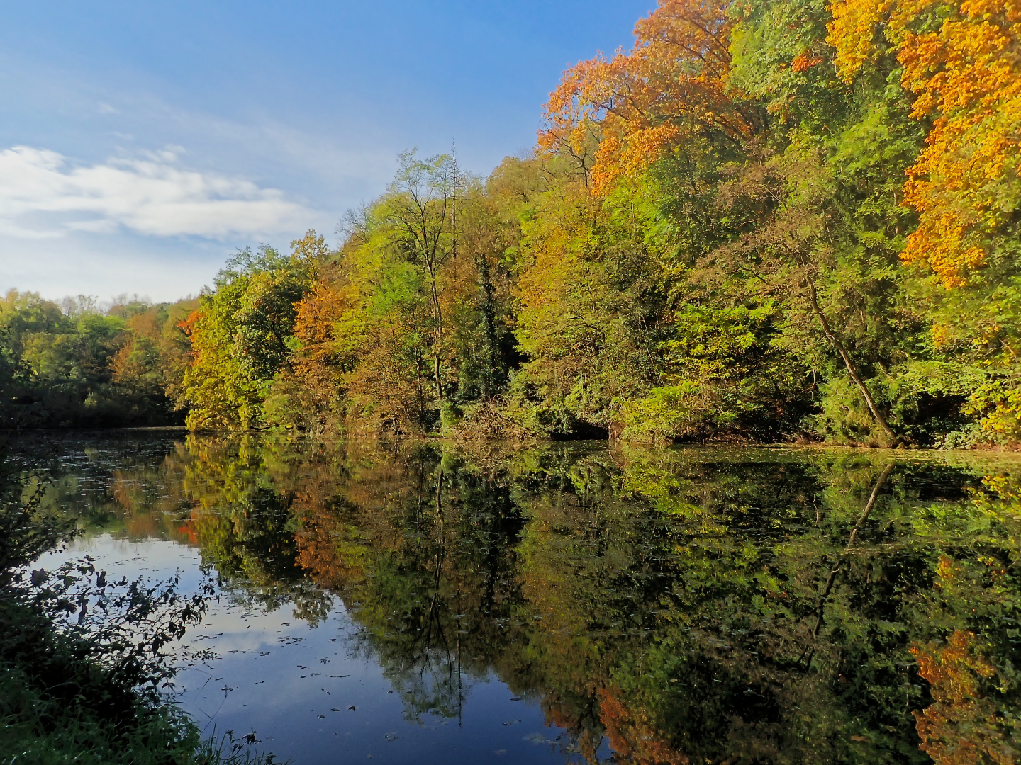 DER HERBST - EIN FEST DER VERÄNDERUNG UND DER FARBEN