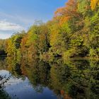 DER HERBST - EIN FEST DER VERÄNDERUNG UND DER FARBEN