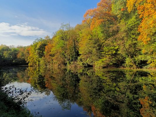 DER HERBST - EIN FEST DER VERÄNDERUNG UND DER FARBEN