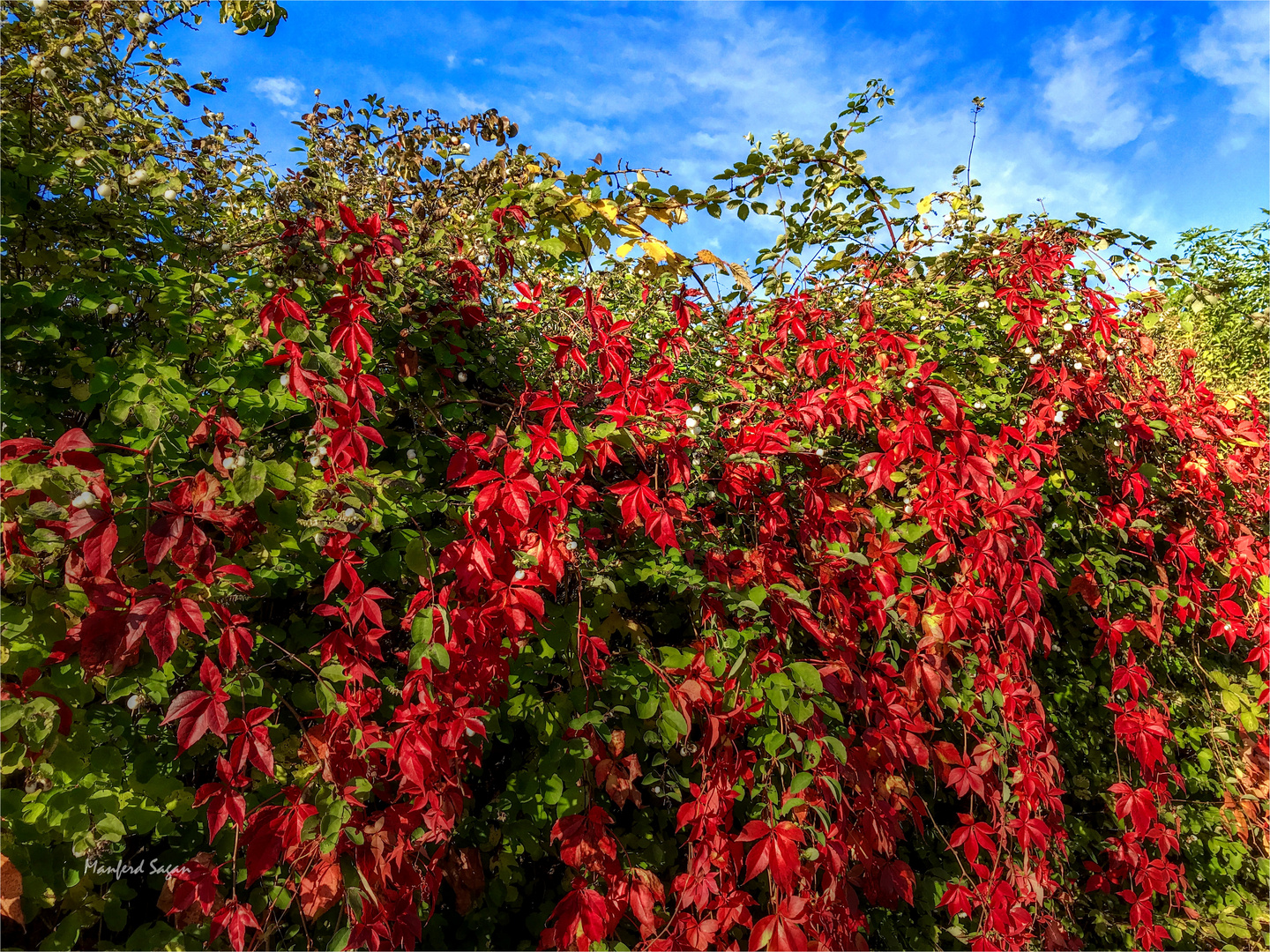 Der Herbst - eine Symphonie der Farben...  