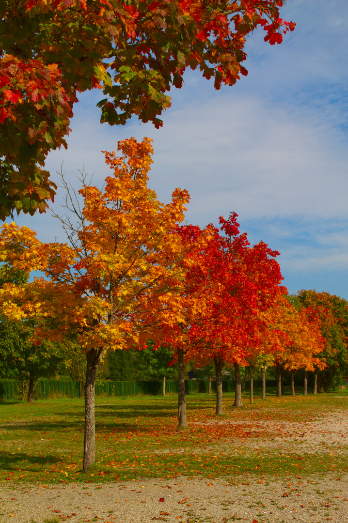 Der Herbst, eine wunderschöne Jahreszeit