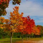 Der Herbst, eine wunderschöne Jahreszeit