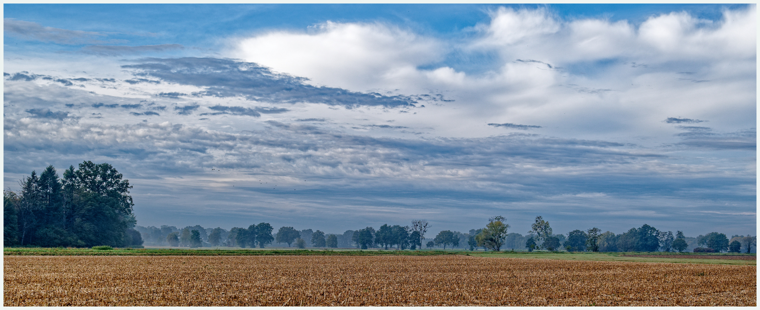 Der Herbst. Er kommt jetzt doch.