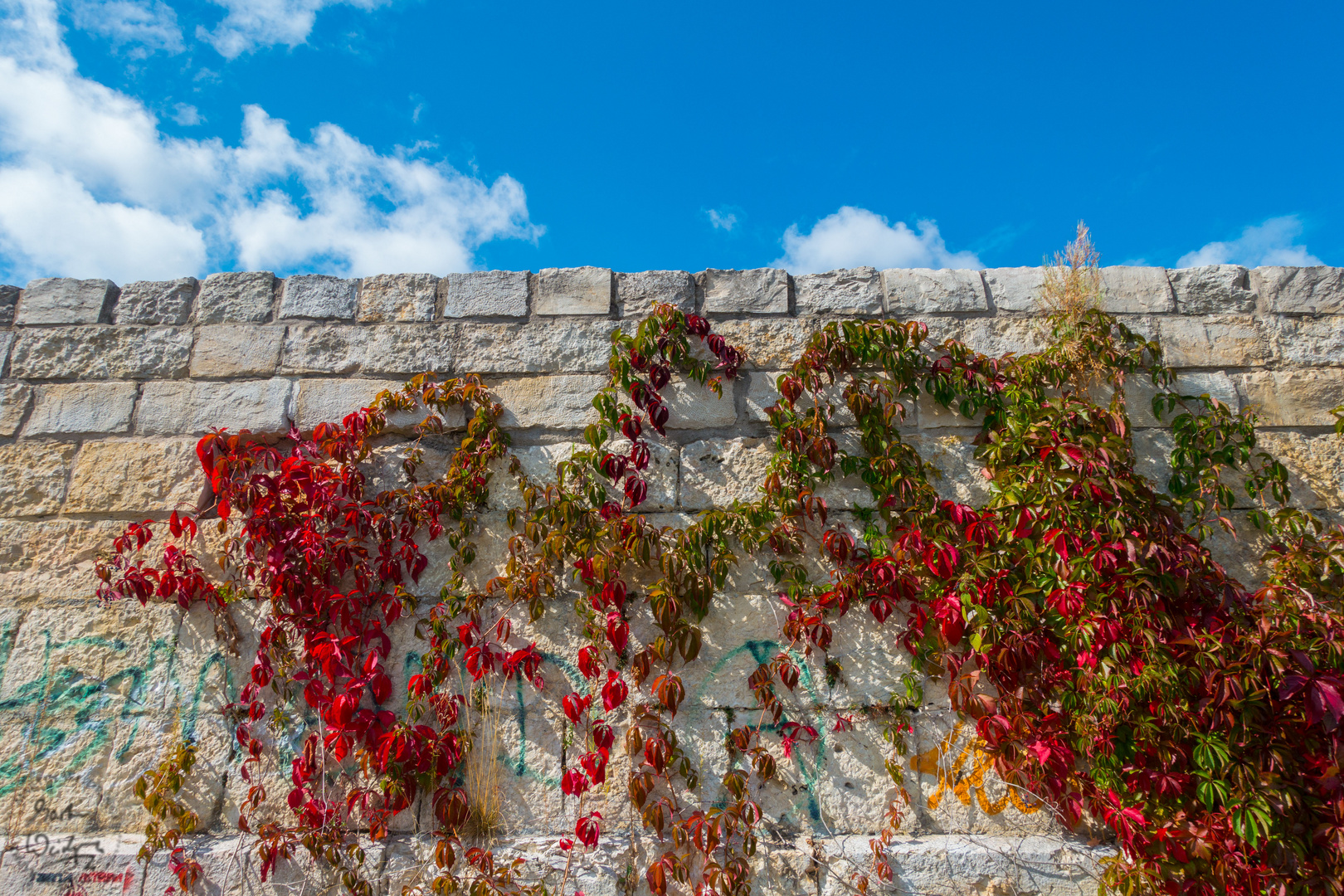 Der Herbst