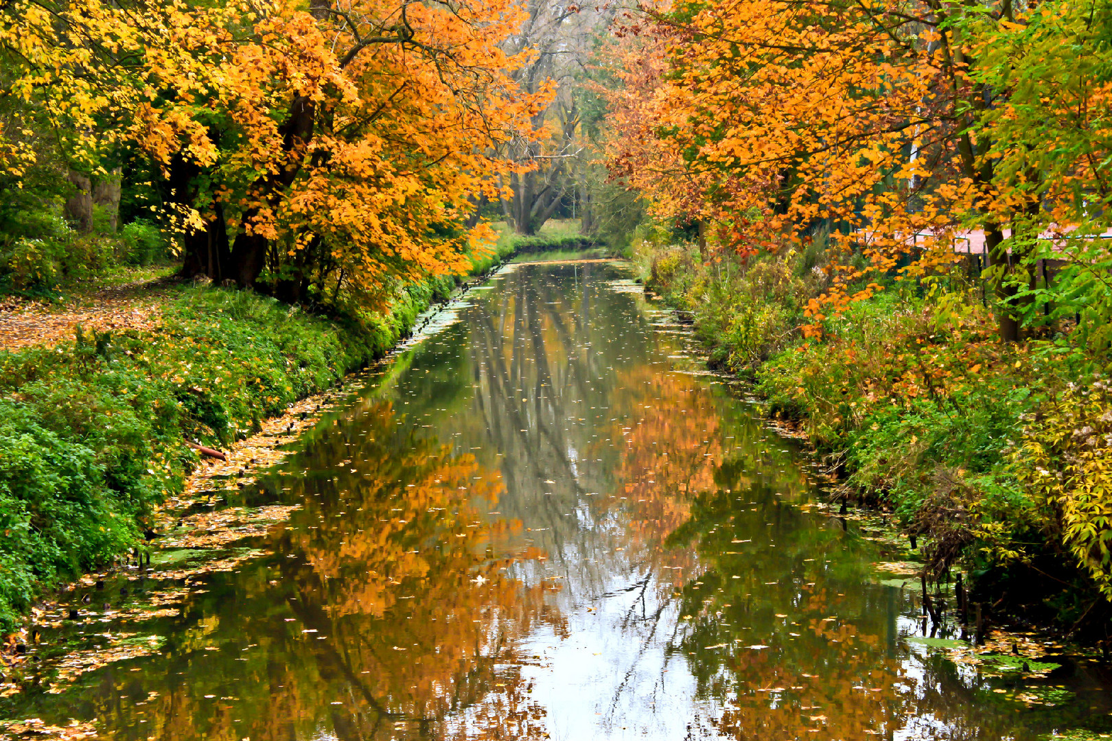 Der Herbst....