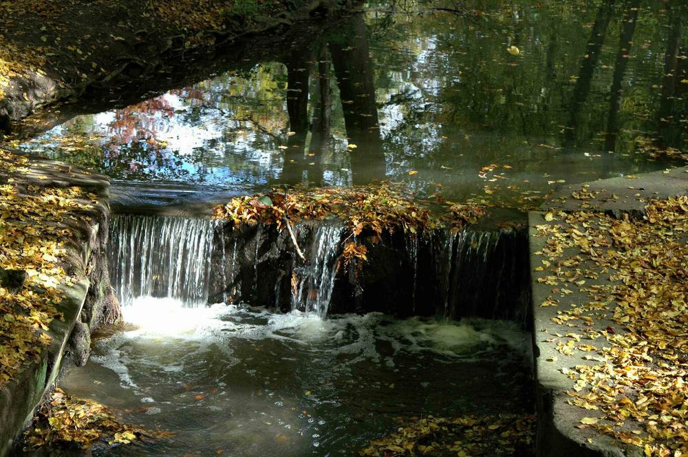 Der Herbst fällt ins Wasser